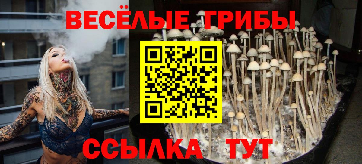 Галлюциногенные грибы мухоморы  Вход с VPN  Советский 