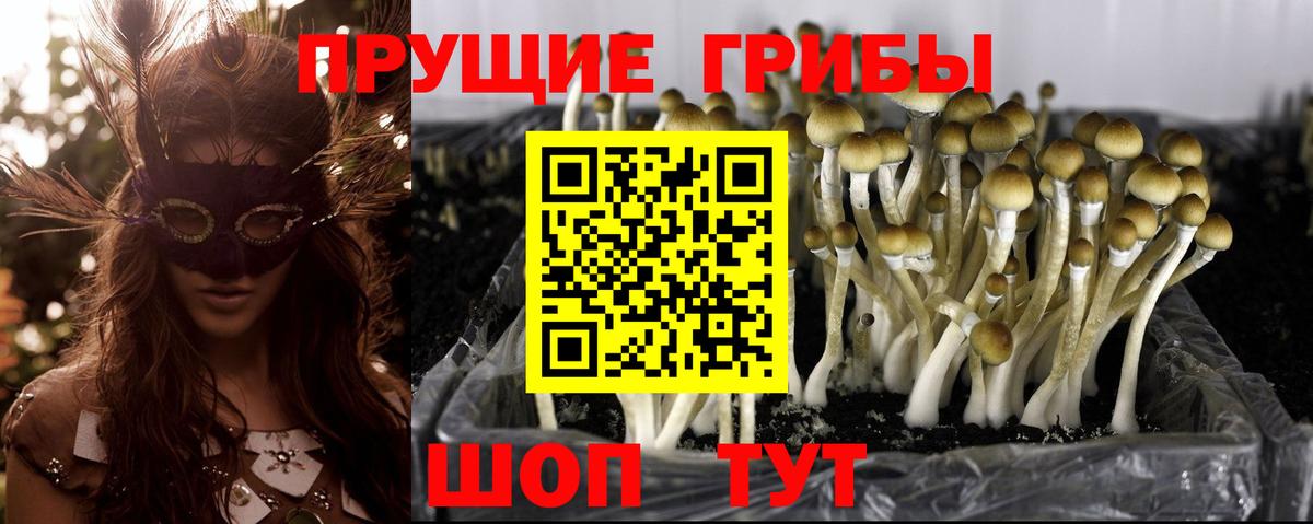 Псилоцибиновые грибы Magic Shrooms Советский